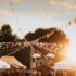 Experience the Germantown Festival: Art, Craft, & Community Spirit